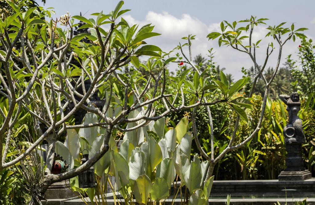 Villa Graha Rusni Ubud Habitación foto